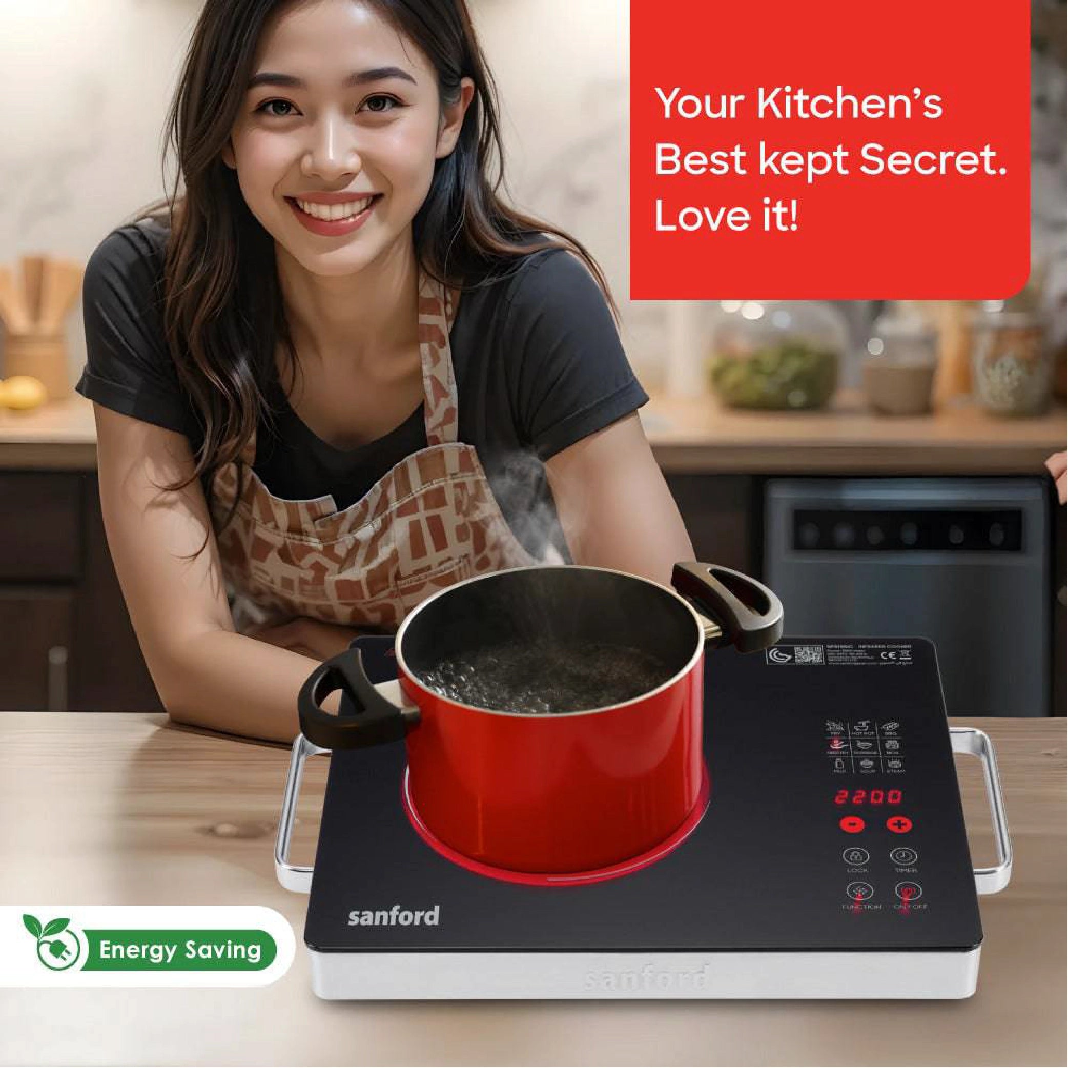  2 in 1 Single Burner Infrared Cooker 2200W with BBQ Grill & timer sanford 2
