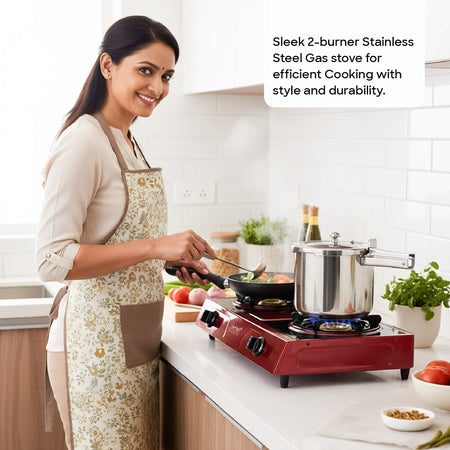 lpg-gas-stove-auto-ignition-2-burner-stainless-steel-frame-sanford-5