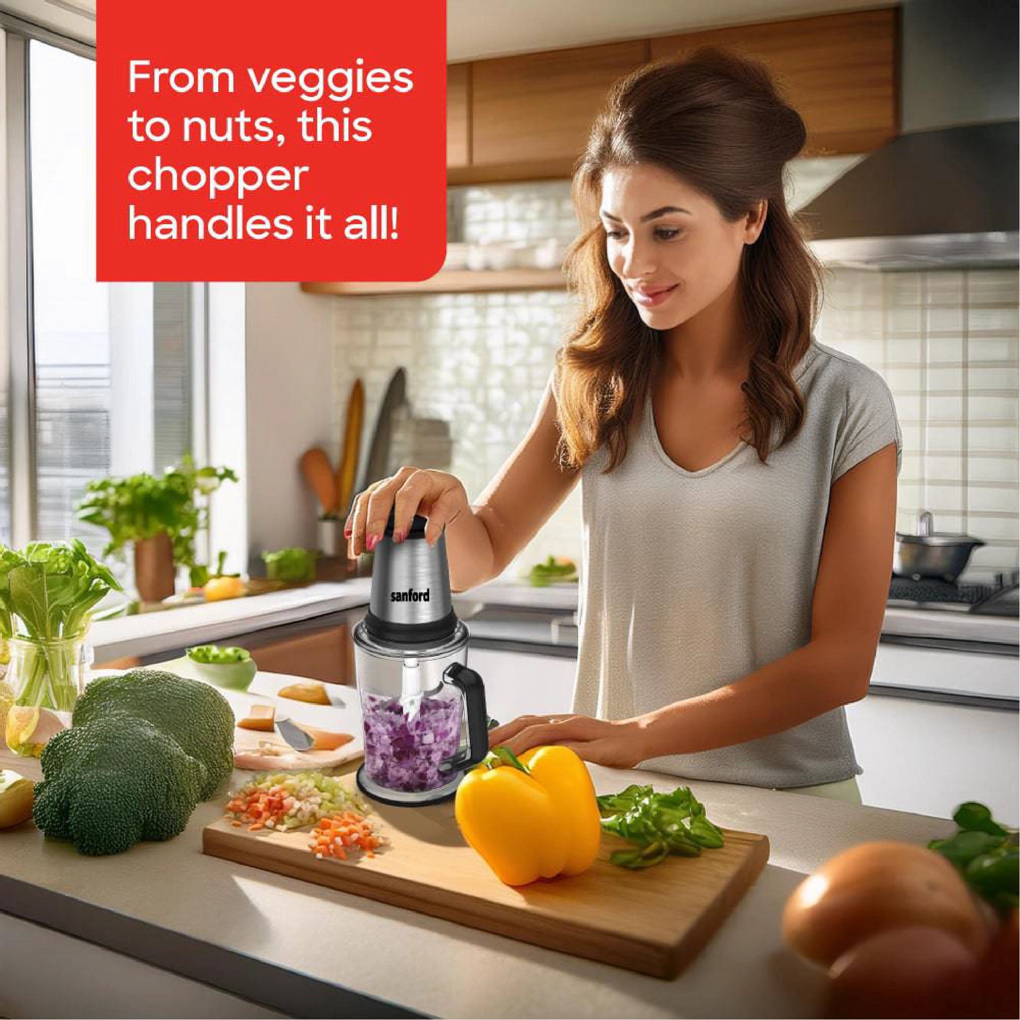 multi-function chopper 400W 2L AS jar &  SUS304 blades sanford 2