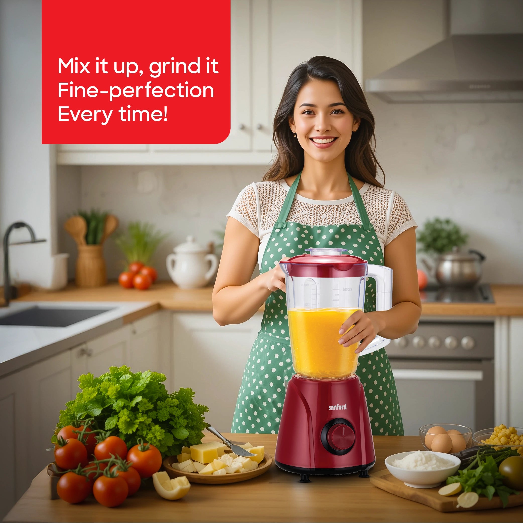 3 in 1 blender 1600ml jar stainless steel blades 1600W sanford 2